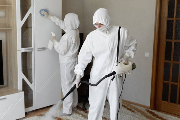 Best Residential Mold Removal  in Van Vleck, TX