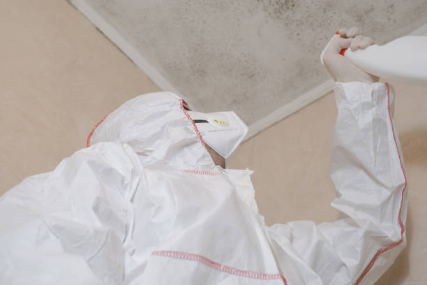 Best Toxic Mold Removal  in Van Vleck, TX