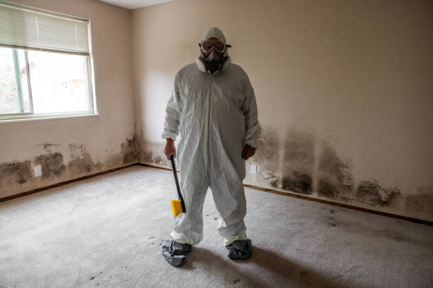 Best Home Mold Removal  in Van Vleck, TX